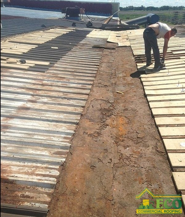 Worker removing rusted metal panels during commercial roof replacement