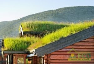 Green Roofing System in a Rural Setting