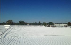 Green Roof Installation