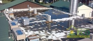 Industrial Roofing Services