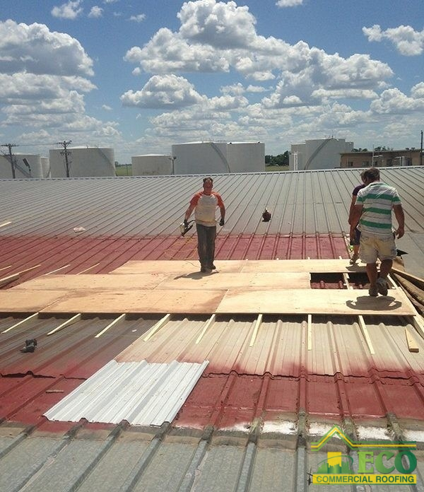 Team installing plywood for flat roof restoration